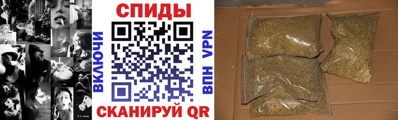 OMG tor Чекалин БУТИРАТ BDO