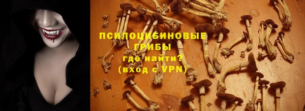 эйфоретик Абинск