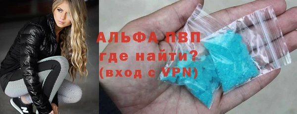 крисы Абаза