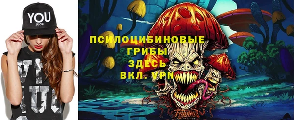 крисы Абаза