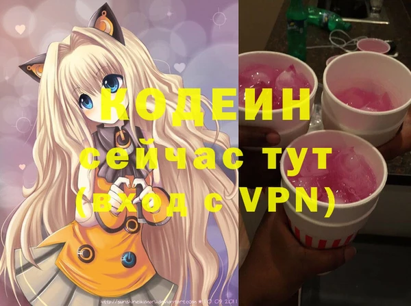 крисы Абаза