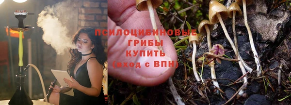 эйфоретик Абинск
