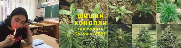 крисы Абаза