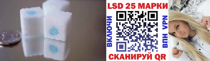 закладка  Чекалин  ЛСД экстази ecstasy 