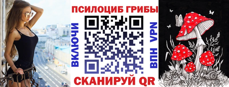 как найти закладки  Чекалин  Псилоцибиновые грибы GOLDEN TEACHER 